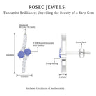 Real Tanzanite and Diamond Minimal Stud Earrings Tanzanite - ( AAA ) - Quality - Rosec Jewels